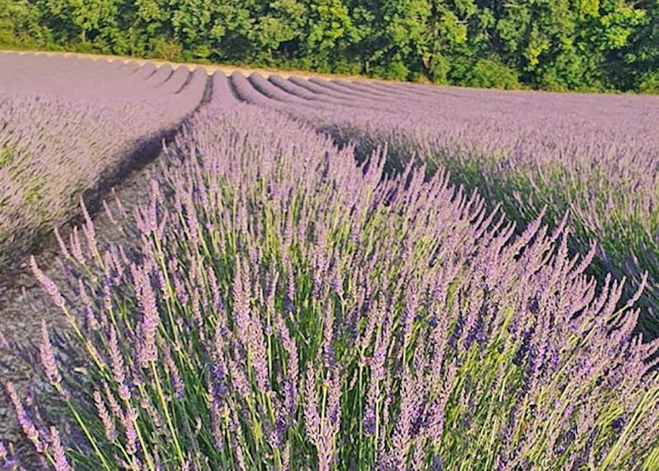 Montcuq Domaine Lapeze 아파트 외부 사진